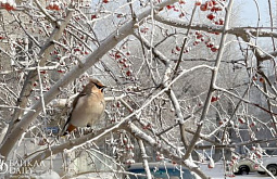 �� ������� ���������� ����������