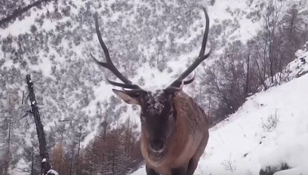 ����������� ����� ���������� ����� ������������ � �������