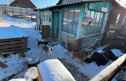 � 2025 ���� � ����-��� ���������� �������� �������� ����������� �� 1,1 ������� ������  