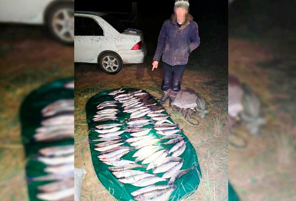 � ������� ���������� ������ ����� 10-�������� ����� 