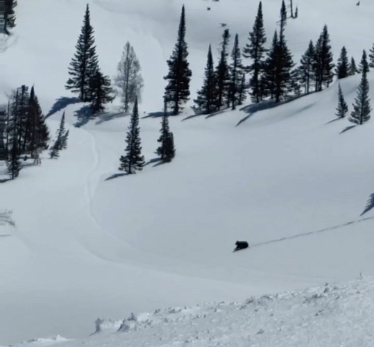 �� ����� � ������� ������� ��������� �������