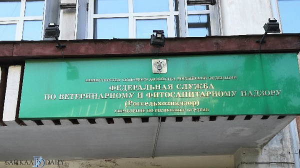 � ������� ������� ����������� � ���� � ������ 