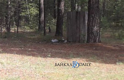 � ������� ���� ��������� ����� �����