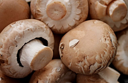 � ���������� ���������� ���������� ���������� 