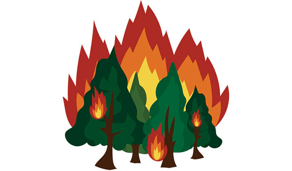 В Бурятии завершилась акция «Защитим лес от пожаров»
