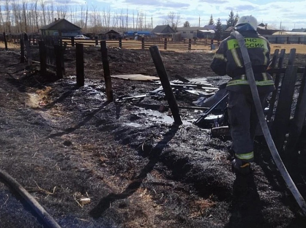 � ���������� �� ����� ��������� 11 ������� 