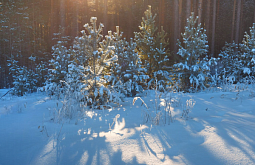 � ������� ��������� ������ ������������ ��� � ���� �����������