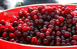 � ������� ��������� ������ 36-������ ������� ���������