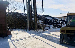В Иркутской области возбудили дело на руководителя лесоперерабатывающего предприятия