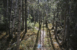 � ������� � 2025 ���� ���� ������ � ��� ���� ���� 