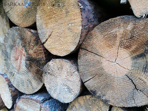 � ������� ������� �������� ��������� �������� 11 ��� 