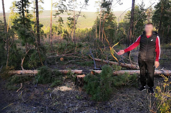 ������ �������� ��������� ���������� ����� � ����-��� 