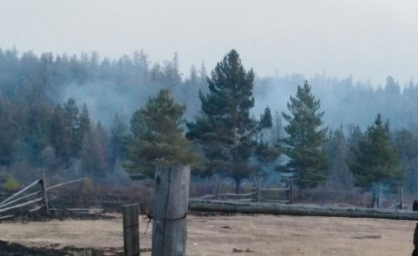 ���� ������� ������� �������� ����� �� ������