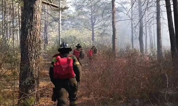 � ���������� ����� ��������� 28 ������� 