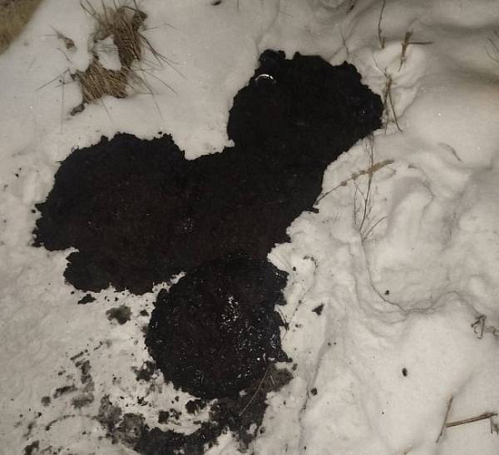 � ����������� � ����-��� ����� ����� 