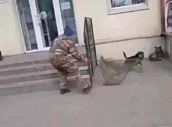 ������ � ����-��� ��������� ������ ����������� ����� 