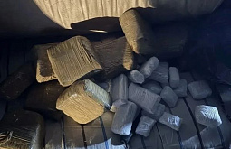 � ���� ��������� ���� ������� �������������� �� �����-����������