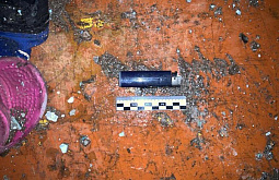 ������ ������� ������� 17 ��� ������� �� �������� � ������ ����������� 