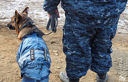 � ������� ��������� ����� ����� ������ ������������, �� ����� �����������������