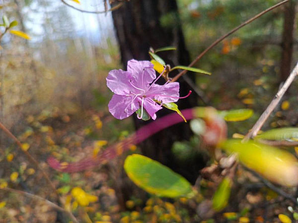 � ������ ������� ������� ����� ����� ���������