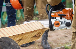 � ������� � �������� �������� ������ ��������� � ��������