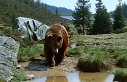 �������-������ ������ �� �������� ������� �������