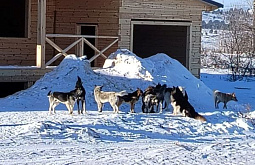 �������� ������ ���������� ���������� ������� ��������������� ������ ������� 