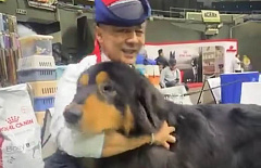 ����������� ������ ���� ��������� ��������