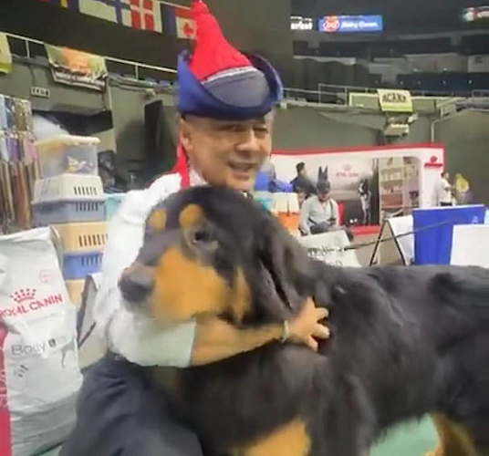 ����������� ������ ���� ��������� ��������