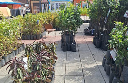 � ����-��� ��������� ��������� ������������ ������������� 