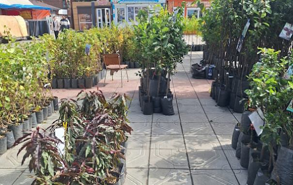 � ����-��� ��������� ��������� ������������ ������������� 