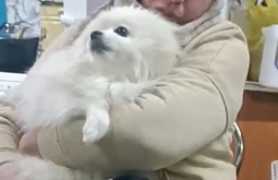 ������ �� ������� ������������ �� ����� �����