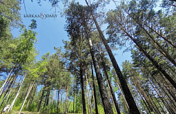 � ������� �������� ������ ������ ������