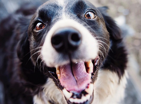 ���� �� ������� ����� ������ ��������� �� ������������� �������� ���������