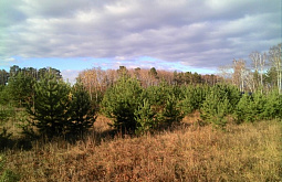 � ������� �������� �������������� ������� ���������������