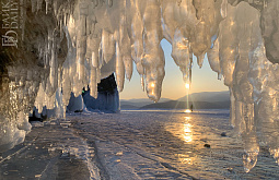 �� ������� �������� ������ ����