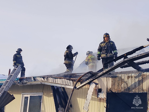 � ���� ������ ������� ���