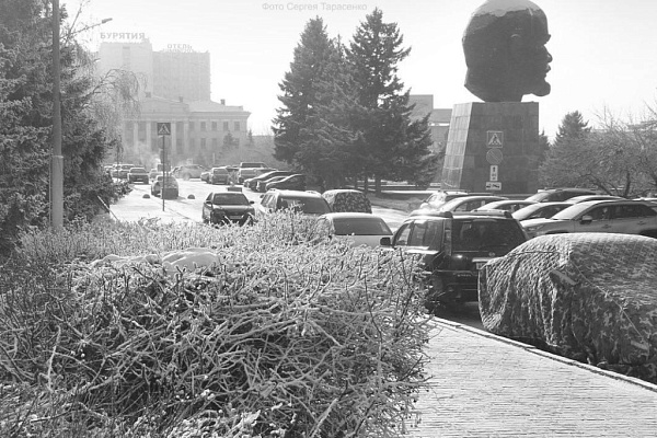 � ������� ���������� ������ �������� � -41