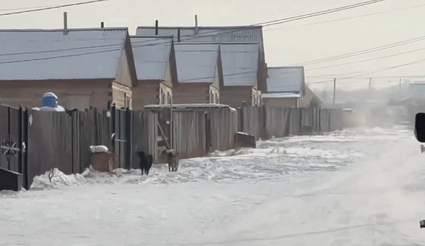 � ��������� ����-��� ����� ����� ���������� ���