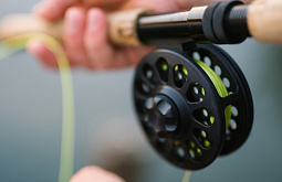 � ����-��� ������� ����������� �� 100 ����� �� ������ � ����� �������� 