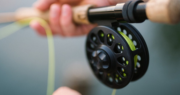 � ����-��� ������� ����������� �� 100 ����� �� ������ � ����� �������� 