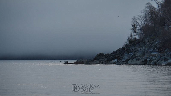 ������ ������� ����������� �� ������� �������� �� ������������� ������ ��� ��������