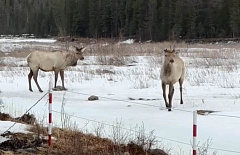 � ������� ���������, ������ ��������� ������ ����� ���� � ������� ����