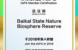 ����������� ���������� ����� � ������ �������������� �������