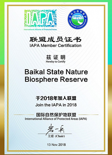 ����������� ���������� ����� � ������ �������������� �������