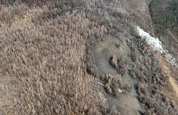 ����� � ����������� ����������� ������� ��������