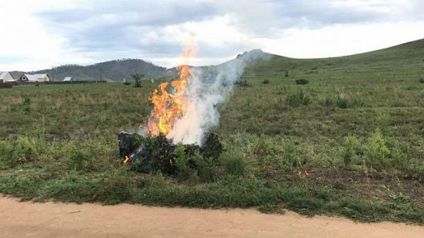 � ������� ������ ����� ����� �������