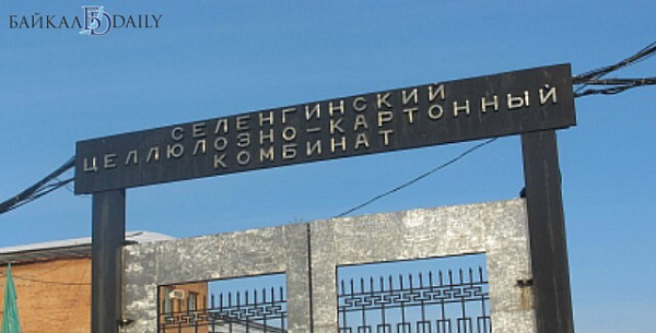 В Бурятии выяснили, из-за чего погибли работники Селенгинского ЦКК