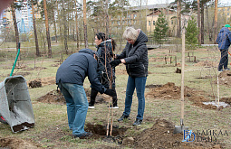 ����� ������ ������� ������� ���