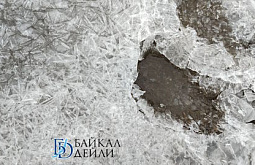 ���������� ������ ������� �������� �������